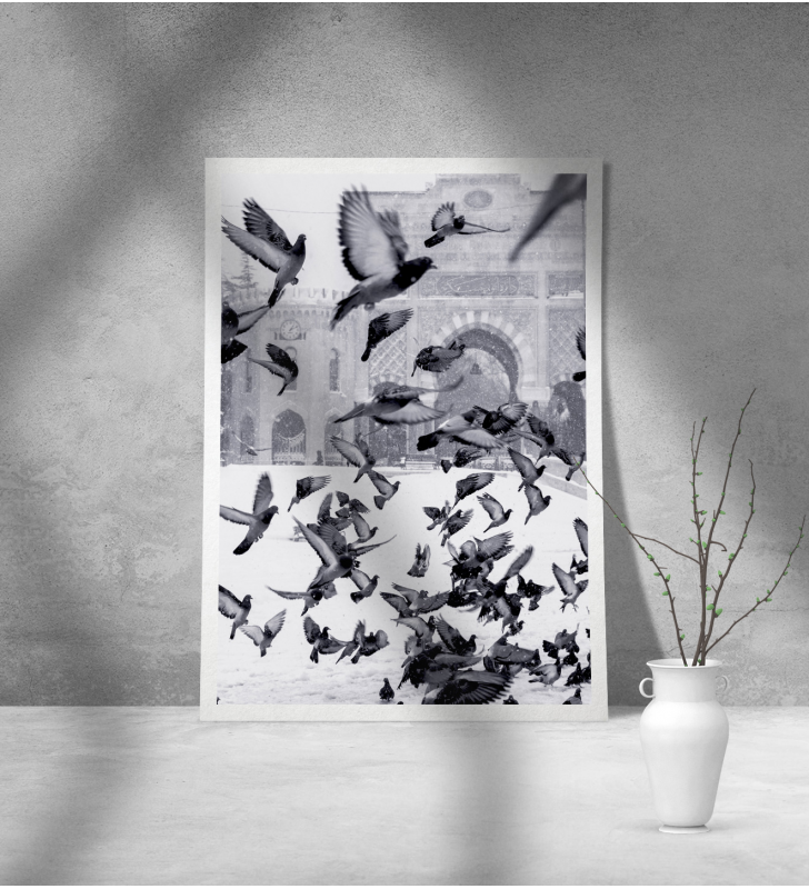 Εκτύπωση σε Αφίσα Χαρτί Black and White Pigeons