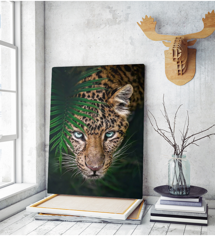 Πίνακας σε Καμβά : Tropical Tiger