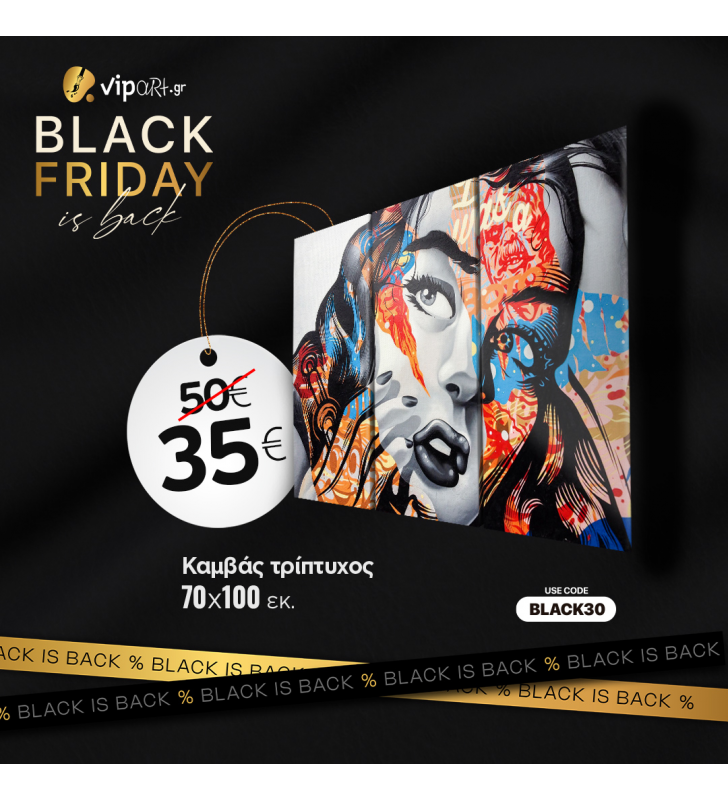 BLACK FRIDAY ΠΡΟΣΦΟΡΑ Εκτύπωση σε Τρίπτυχο Πίνακα Καμβά με δικό σας σχέδιο 100x70