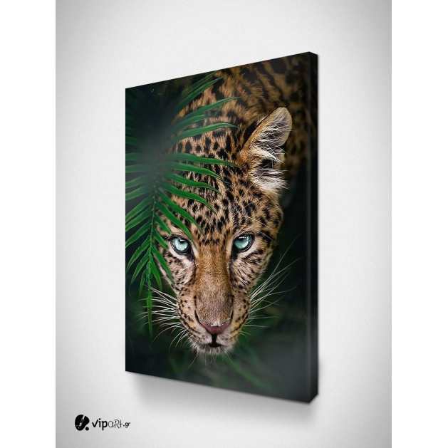 Πίνακας σε Καμβά : Tropical...