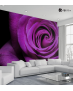 Ταπετσαρία Τοίχου  Μωβ τριαντάφυλλο - Purple rose Flower