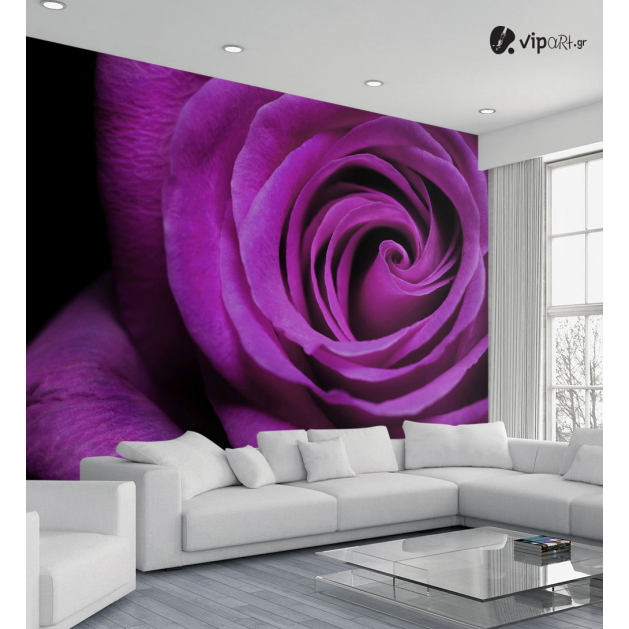 Ταπετσαρία Τοίχου  Μωβ τριαντάφυλλο - Purple rose Flower