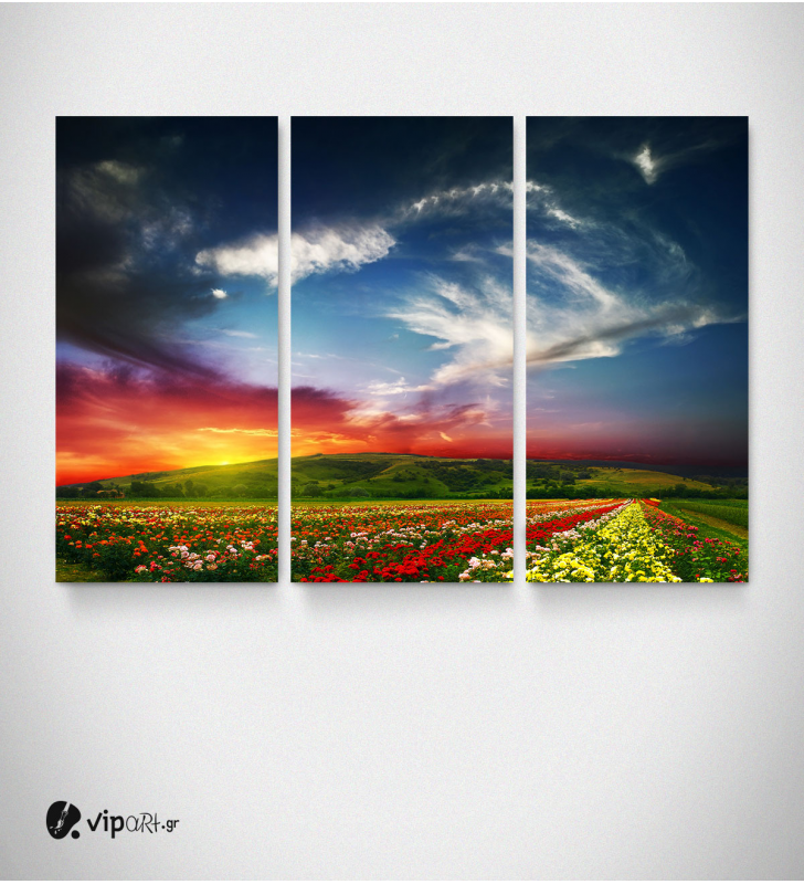 Καμβάς Τρίπτυχος Πίνακας Ηλιοβασίλεμα Πεδιάδα Λουλούδια Σύννεφα