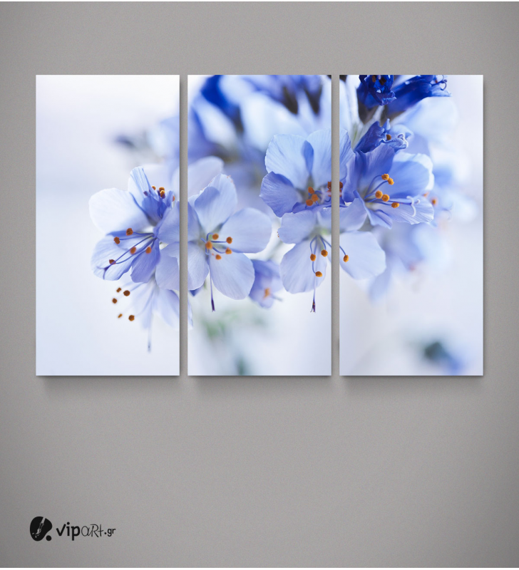 Καμβάς Τρίπτυχος Πίνακας με Μπλε - Λευκά Όμορφα Λουλούδια