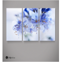 Καμβάς Τρίπτυχος Πίνακας με Μπλε - Λευκά Όμορφα Λουλούδια