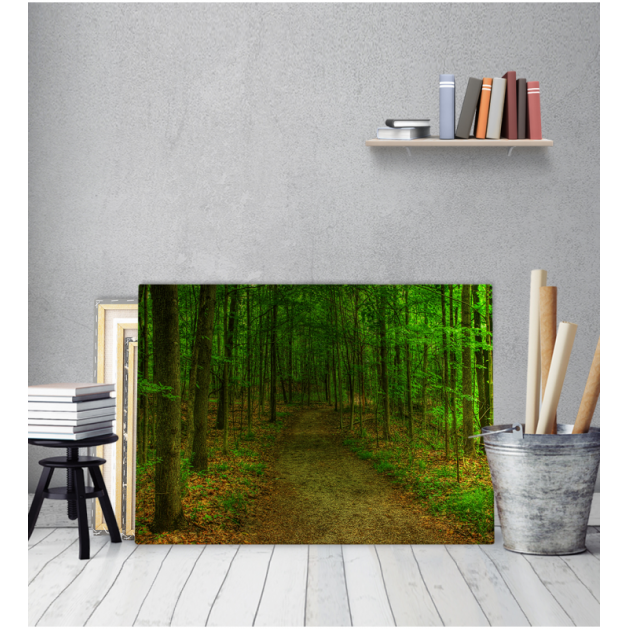 Πίνακας Καμβάς Δρόμος Δάσος