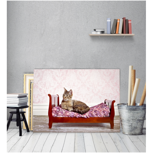 Πίνακας Καμβάς Γάτα Σε Κρεβάτι