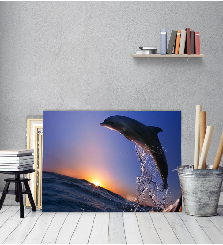 Πίνακας Καμβάς Δελφίνι Ηλιοβασίλεμα
