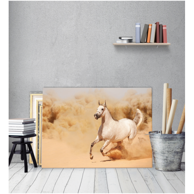 Πίνακας Καμβάς Άσπρο Άλογο