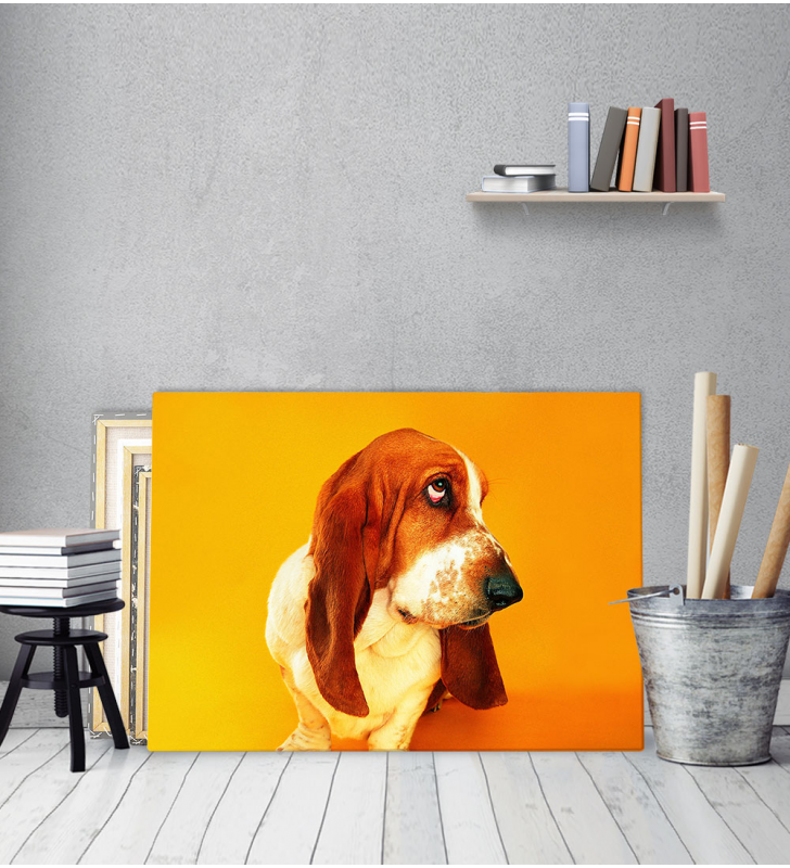 Πίνακας Καμβάς με εκτύπωση Σκύλος Λουκάνικο