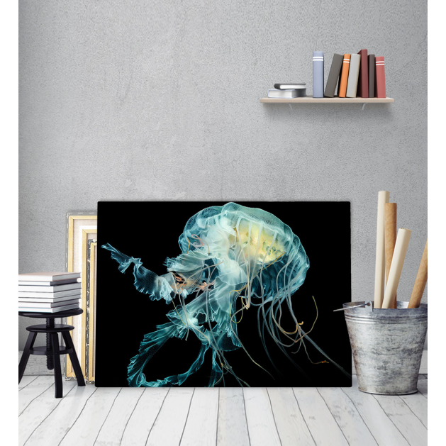 Πίνακας Καμβάς Colorful Medusa
