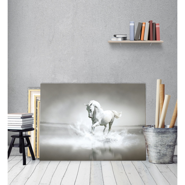 Πίνακας Καμβάς Λευκό Άλογο - White Horse