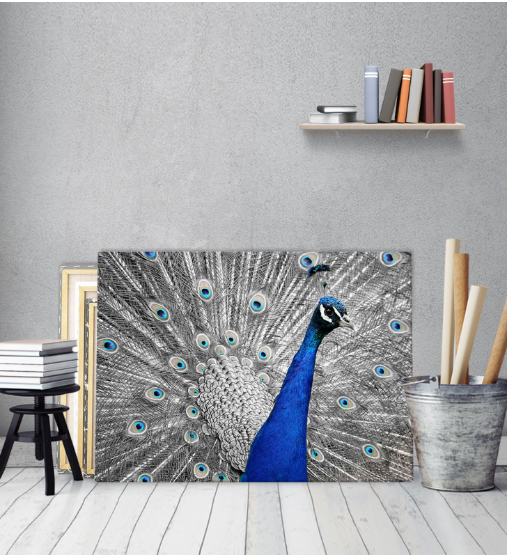Πίνακας ζωγραφικής Καμβάς Μπλε Παγώνι