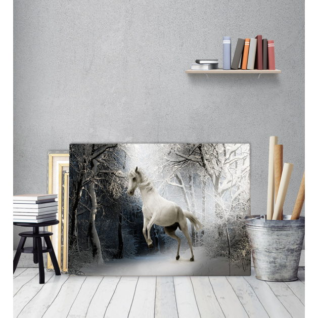 Πίνακας Καμβάς Ασπρο Αλογο - White Snow Horse