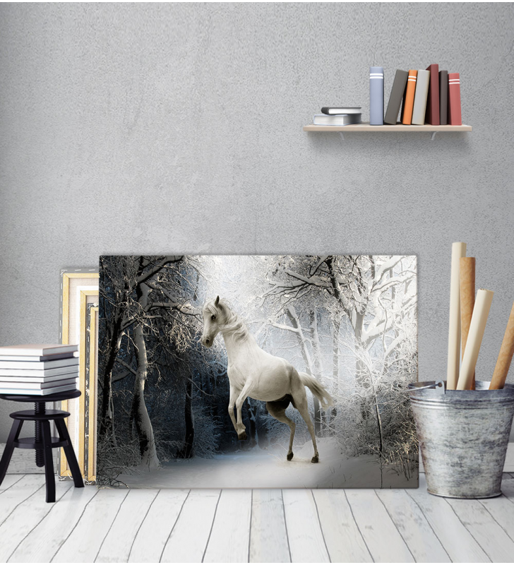 Πίνακας Καμβάς Ασπρο Αλογο - White Snow Horse