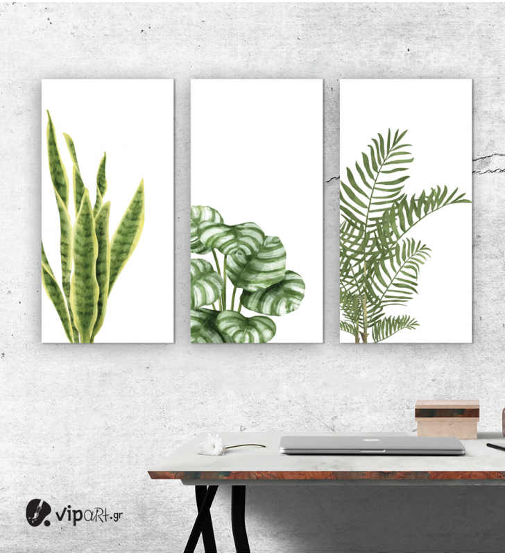 Σύνθεση Με Πίνακες Καμβάδες 110x60- 3 Τεμάχια - πράσινα φυτά - Plants
