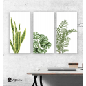 Σύνθεση Με Πίνακες Καμβάδες 110x60- 3 Τεμάχια - πράσινα φυτά - Plants