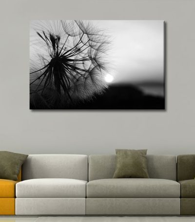 Καμβάς Dandelion