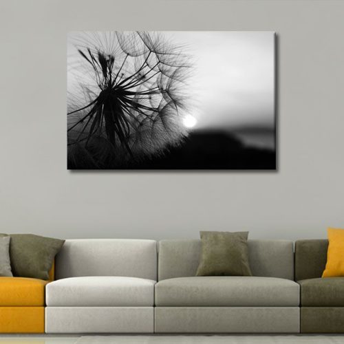 Καμβάς Dandelion