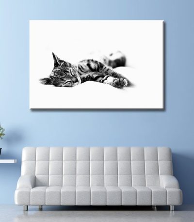 Καμβάς Sleepy Kitty