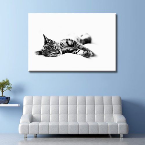 Καμβάς Sleepy Kitty