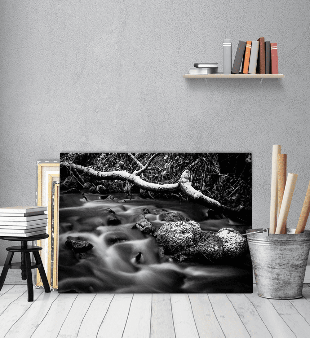 Πίνακας Καμβάς Ασπρόμαυρος Ρυάκι
