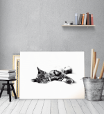 Πίνακας Καμβάς Sleepy Kitty