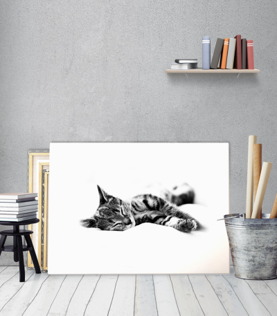 Πίνακας Καμβάς Sleepy Kitty