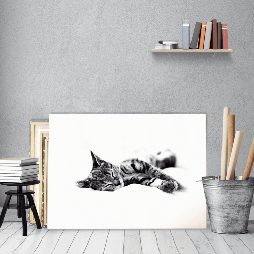Πίνακας Καμβάς Sleepy Kitty