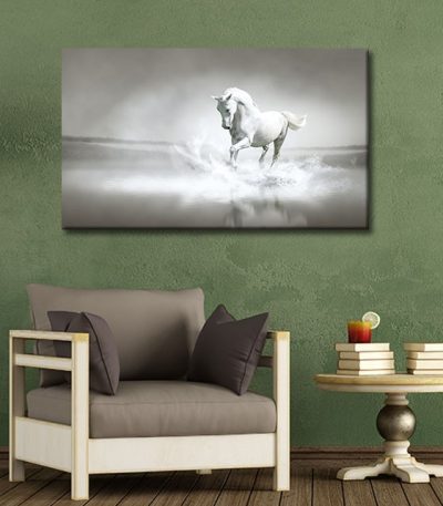 Καμβάς White Horse
