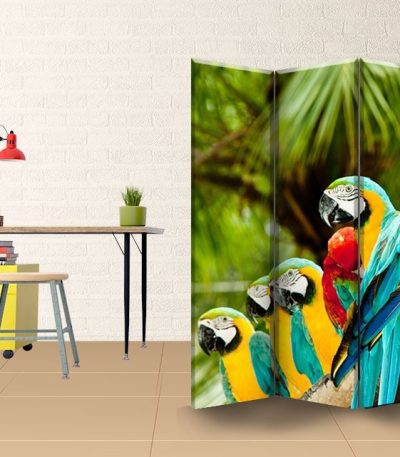 Παραβάν Τετράπτυχο Beautifull Macaw