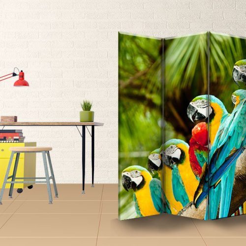 Παραβάν Τετράπτυχο Beautifull Macaw