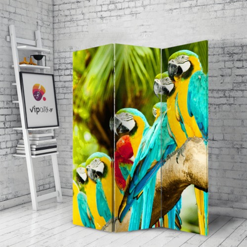 Διακοσμητικό Παραβάν παπαγάλος Beautiful Macaw