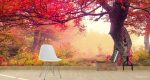 Ταπετσαρία Τοίχου Autumn Big Tree