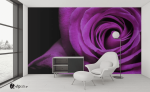 Ταπετσαρία Τοίχου Μωβ τριαντάφυλλο - Purple rose Flower