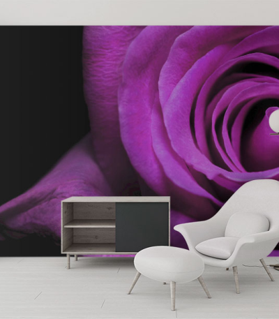 Ταπετσαρία Τοίχου Μωβ τριαντάφυλλο - Purple rose Flower