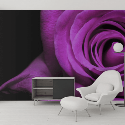 Ταπετσαρία Τοίχου Μωβ τριαντάφυλλο - Purple rose Flower