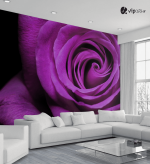 Ταπετσαρία Τοίχου Μωβ τριαντάφυλλο - Purple rose Flower