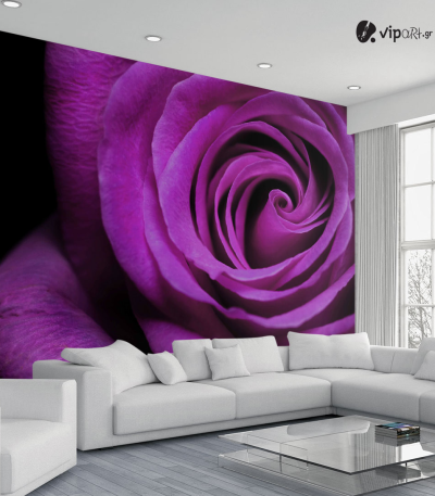 Ταπετσαρία Τοίχου Μωβ τριαντάφυλλο - Purple rose Flower
