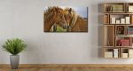 Καμβάς Lovely Horses