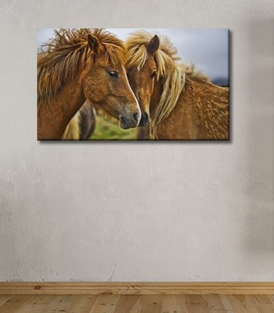 Καμβάς Lovely Horses