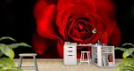 Ταπετσαρία Τοίχου Rose Red&Black