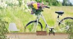 Ταπετσαρία Τοίχου Nature Bicycle