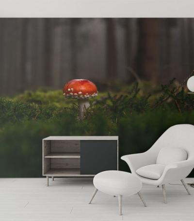 Ταπετσαρία Τοίχου Mushroom Forest