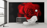 Ταπετσαρία Τοίχου Τριαντάφυλλο Rose Red&Black