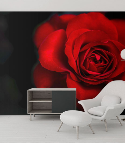 Ταπετσαρία Τοίχου Τριαντάφυλλο Rose Red&Black