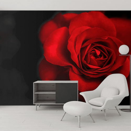 Ταπετσαρία Τοίχου Τριαντάφυλλο Rose Red&Black