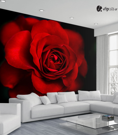 Ταπετσαρία Τοίχου Rose Red&Black