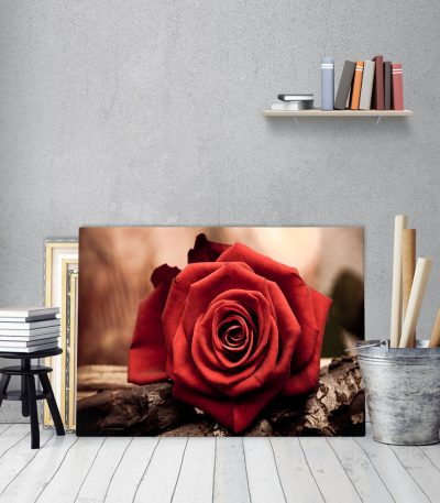 Πίνακας Καμβάς Rose Wood