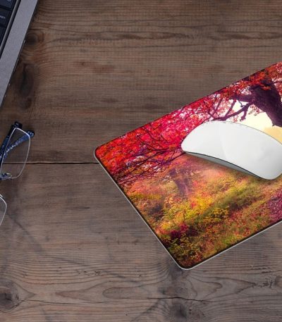 Mousepad 2 τεμάχια Beautiful Forest